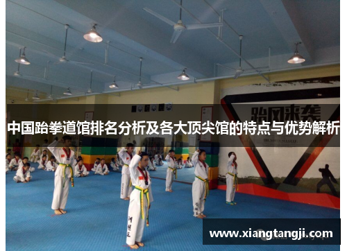 中国跆拳道馆排名分析及各大顶尖馆的特点与优势解析