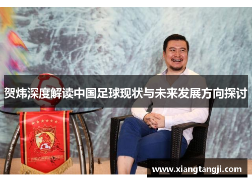 贺炜深度解读中国足球现状与未来发展方向探讨