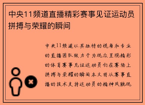 中央11频道直播精彩赛事见证运动员拼搏与荣耀的瞬间